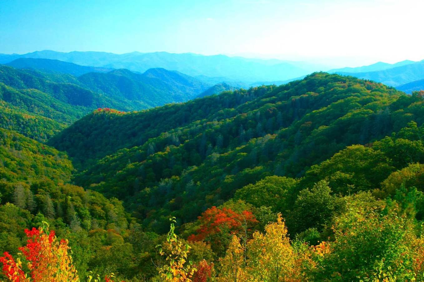 Modern Style, Arcade, Fire Pit, Pet Friendly Villa Pigeon Forge Exteriör bild